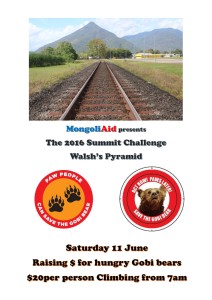 2016 Summit Challenge